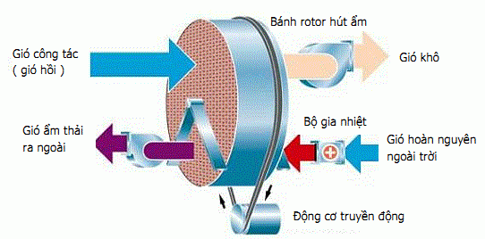 Cấu tạo của máy hút ẩm Rotor